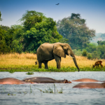 Discovering Uganda - From the Iconic to the Unexpected