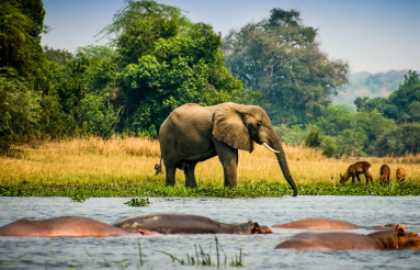 Discovering Uganda - From the Iconic to the Unexpected